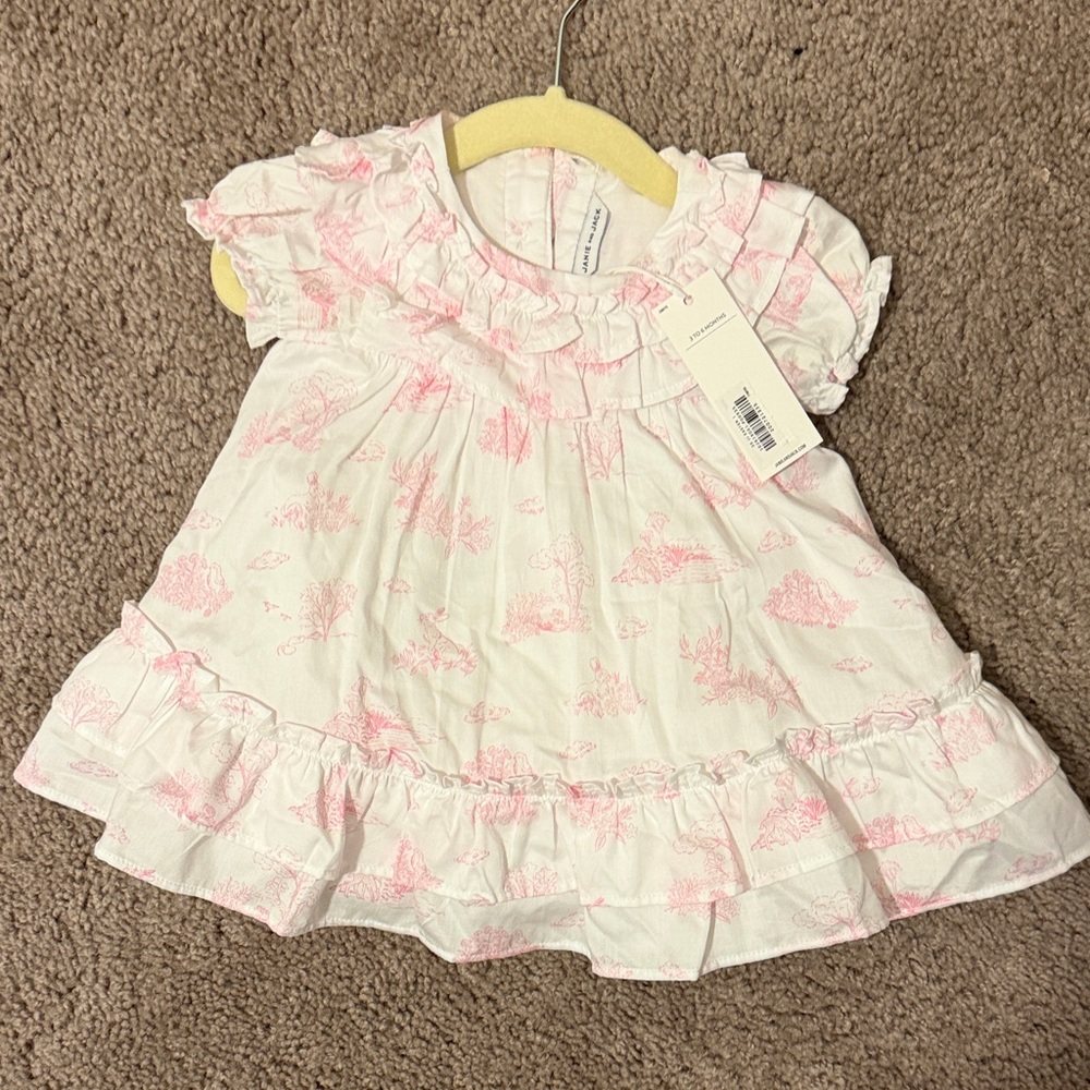 Janie and Jack White Dress with Pink Toile Print